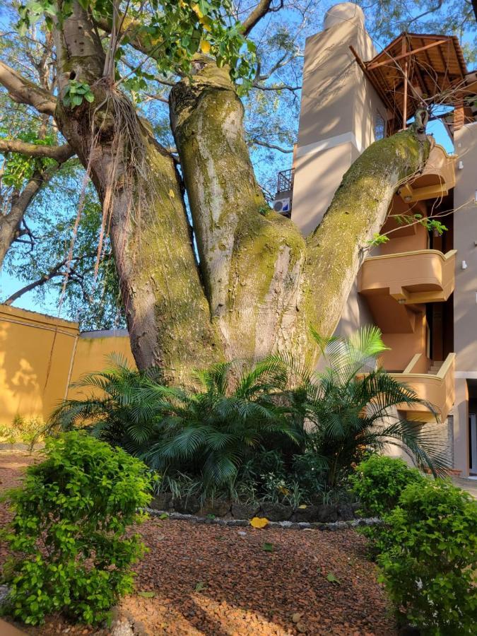 Real Guanacaste Aparthotel San Pedro Sula Exteriör bild